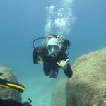 Austin Twitchell - @austin_twitch - Instagram
