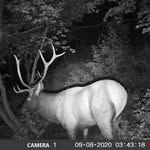 Austin Twitchell - @outdoor__adrenaline - Instagram