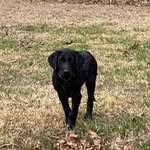 Austin Tyner - @tyner7690 - Instagram
