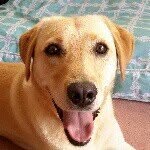 Austin Upton - @austin_adventures - Instagram