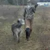 austin_vail - @austin_vail - TikTok