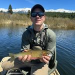 Austin Varner - @ajv_13 - Instagram