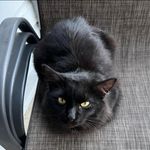 Austin Varner - @thatonemlgplayer12 - Instagram