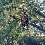 Austin Varner - @austin.tree.assassin - Instagram