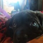 Austin Vasquez - @vasquez_austin - Instagram