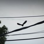 Austin Vaught - @austinvaughtphotography - Instagram