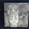 CrazyAustin - @austin.vick3 - TikTok