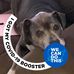 Austin Vickers - Facebook