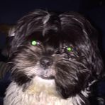 Austin Wagers - Facebook