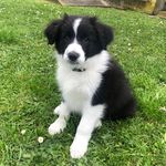 Austin Warnock - @austinfurrypants - Instagram