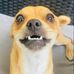 Austin Weiss - Facebook