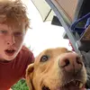 Austin Weiss - @austinweiss4 - TikTok