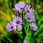 Austin West - @austinwest_photography - Instagram
