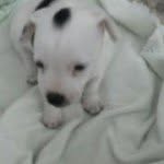 Austin Westbrook - @brvfd308 - Instagram