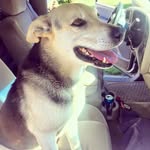 Austin Westbrook - @batmanlover.7 - Instagram