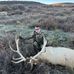 Austin Wilhelm - Facebook
