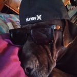 Austin Willard - @austin.willard.9843 - Instagram