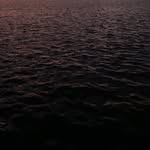 Austin William Zabilowicz - @austin_w_z - Instagram