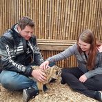 Austin Willson - Facebook