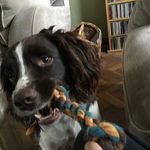 Austin Willson - @austin_21_willson - Instagram