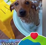 Austin Willson - Facebook
