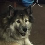 Austin Winder - @awinder532 - Instagram