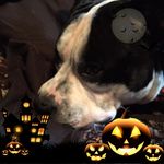Austin Wing - @austin.wing.779 - Instagram