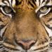 Austin Winstead - Facebook