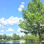 Austin Wise - @austin_wise3855 - Instagram