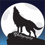 Austin Wolfrey - @wolfographyyy - Instagram