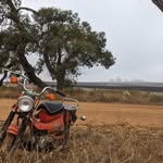 Austin Worth - @auz_tin1 - Instagram
