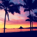 Austin wren - @hawaiian_werido - Instagram
