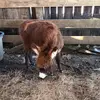 Austin Wright - @austin.wright05 - TikTok