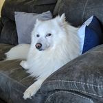 Austin Wyrick - @alustrielegames - Instagram