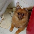 Austin Yan - Facebook
