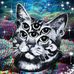Austin Yeager - Facebook
