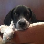Austin Yeager - @yeagerboy51 - Instagram