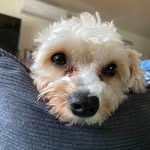 austin - @austinyun9 - Instagram