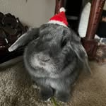 Austin Yu - @austinyu_ - Instagram
