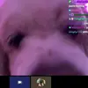 hghvcaustinyu - @hghvcaustinyu - TikTok