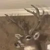 Austin 12345678919 - @.austindugan - TikTok