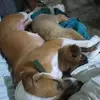 Austine Lee - @austine.lee79 - TikTok