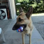 Austin Wright - Facebook