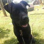 Austin Marshall - Facebook