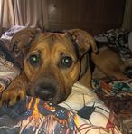 Austin Marshall - Facebook