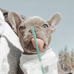 Autumn Alvarez - @autumnalvarez._05 - Instagram