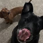Autumn & Bean - @autumnandbean - Instagram