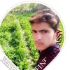 تولين.كانو - @autumnbeanptqqeox - TikTok