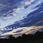 Autumn 🤧 - @autumn._.bee - Instagram