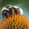 Autumnbee4 - @autumnbee40 - TikTok